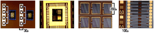 vacc.gif